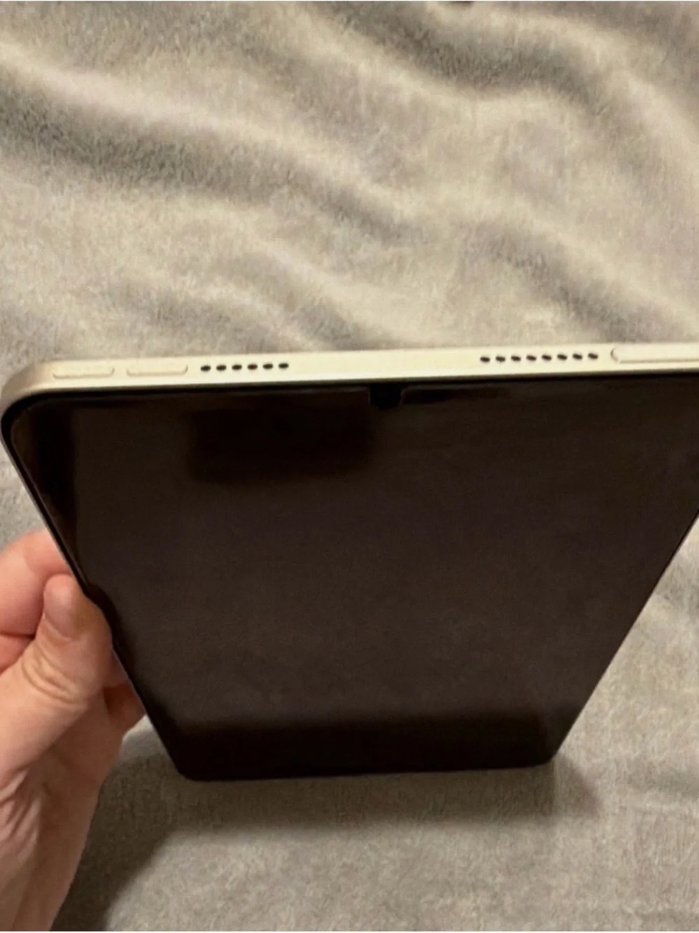 Apple shorts 14